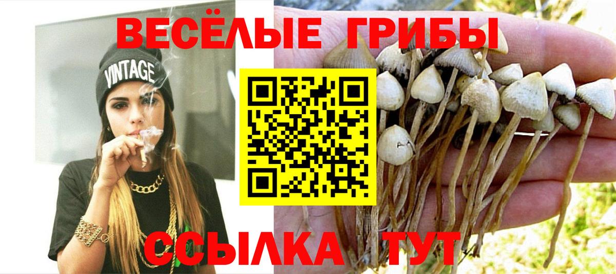 Выборг  Псилоцибиновые грибы Magic Shrooms  Галлюциногенные грибы Cubensis  купить наркотики цена  Вход с VPN 