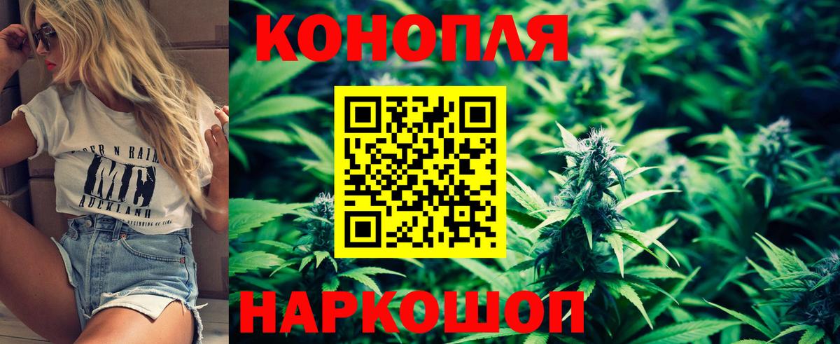 Бошки Шишки марихуана Выборг